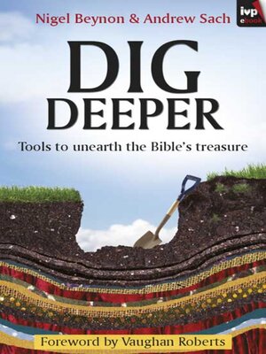 cover image of Dig Deeper